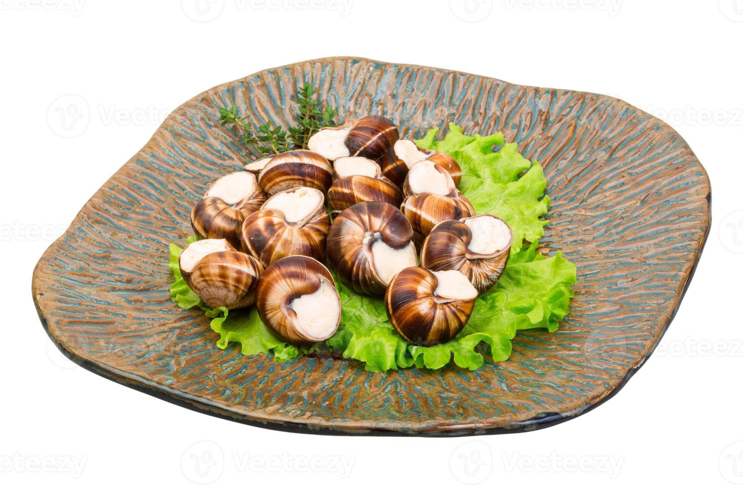 Escargot on the plate and white background photo
