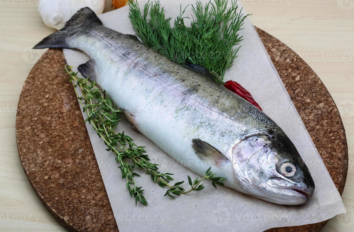 Raw trout on a board photo