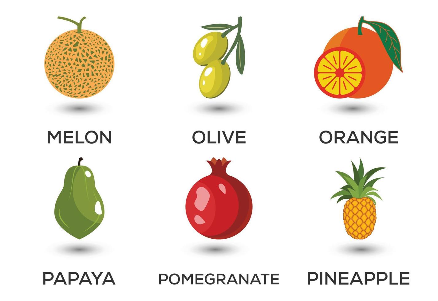 Set of fruits. Different colorful fruits. Fresh food, healthy eating concept. Vector illustration