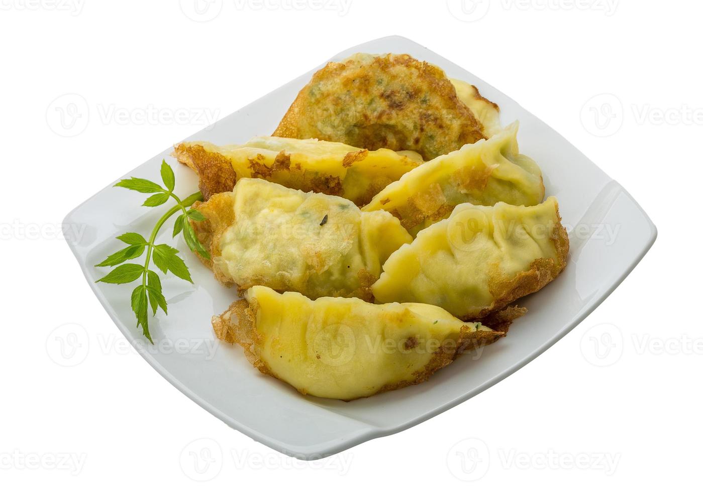 Japan dumplings - gyoza photo