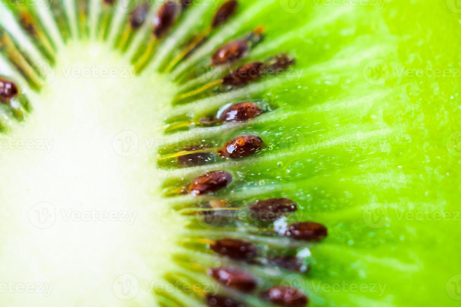 Fresh kiwi fruit slices closeup macro texture background photo