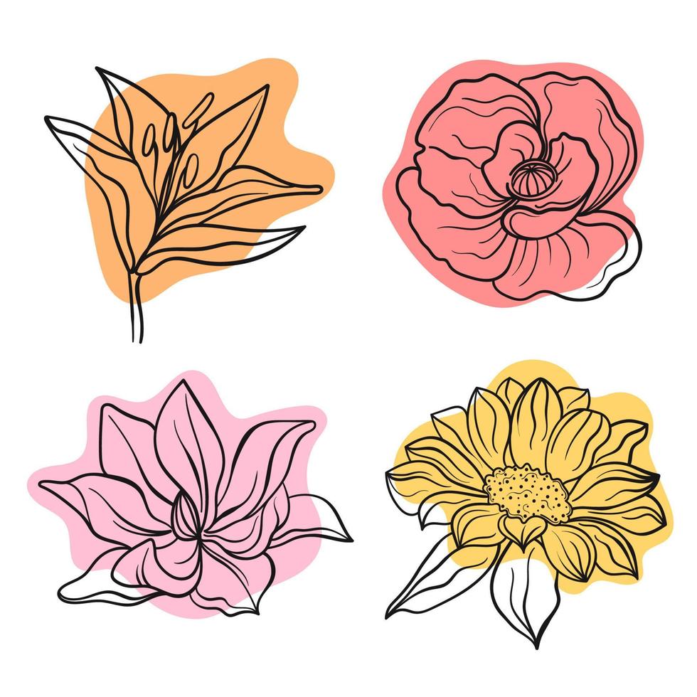 línea vectorial ilustración negra gráficos flores lirio, amapola, magnolia, manchas de colores de girasol vector