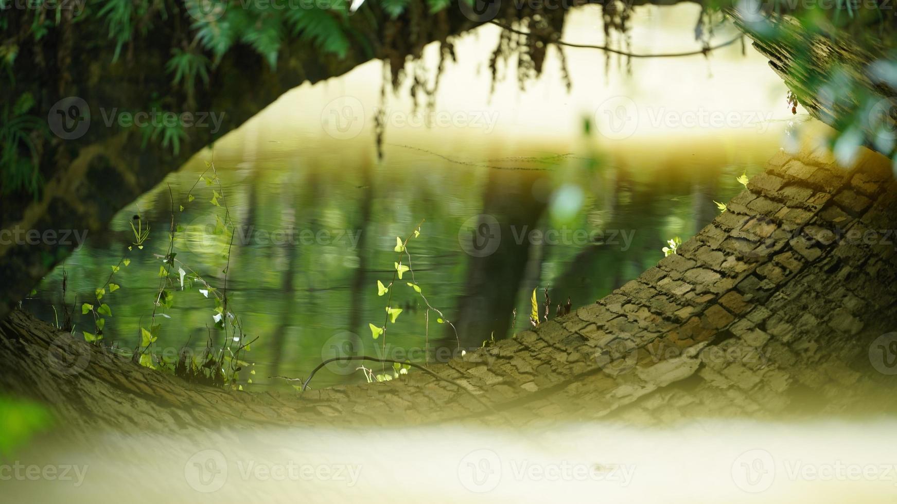 The beautiful Chinese countryside view with the old arched stone bridge above the river photo