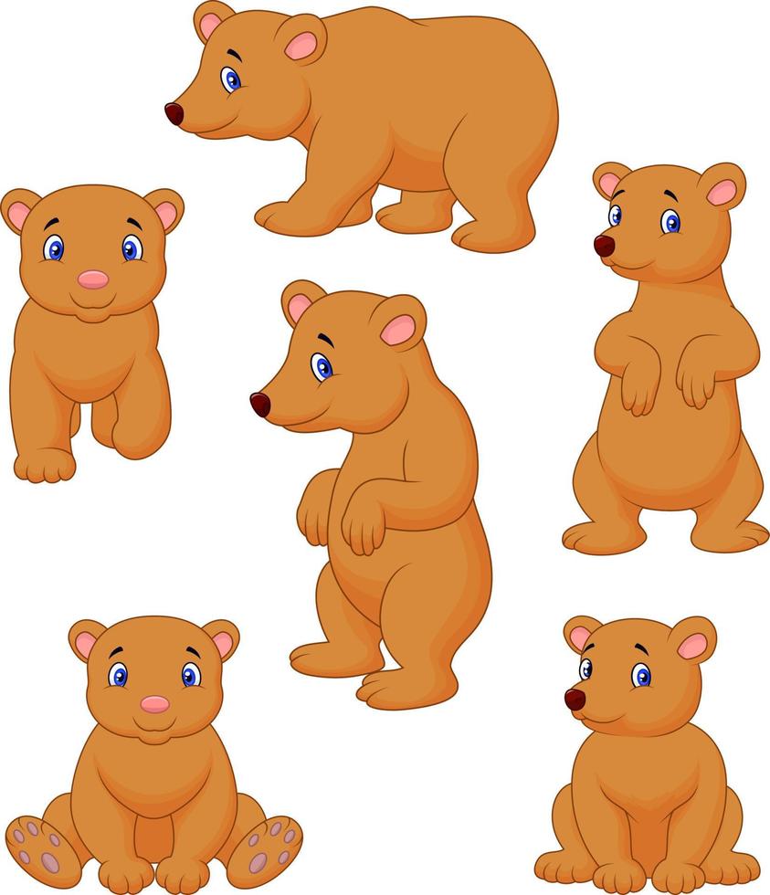 linda colección de dibujos animados de oso pardo vector