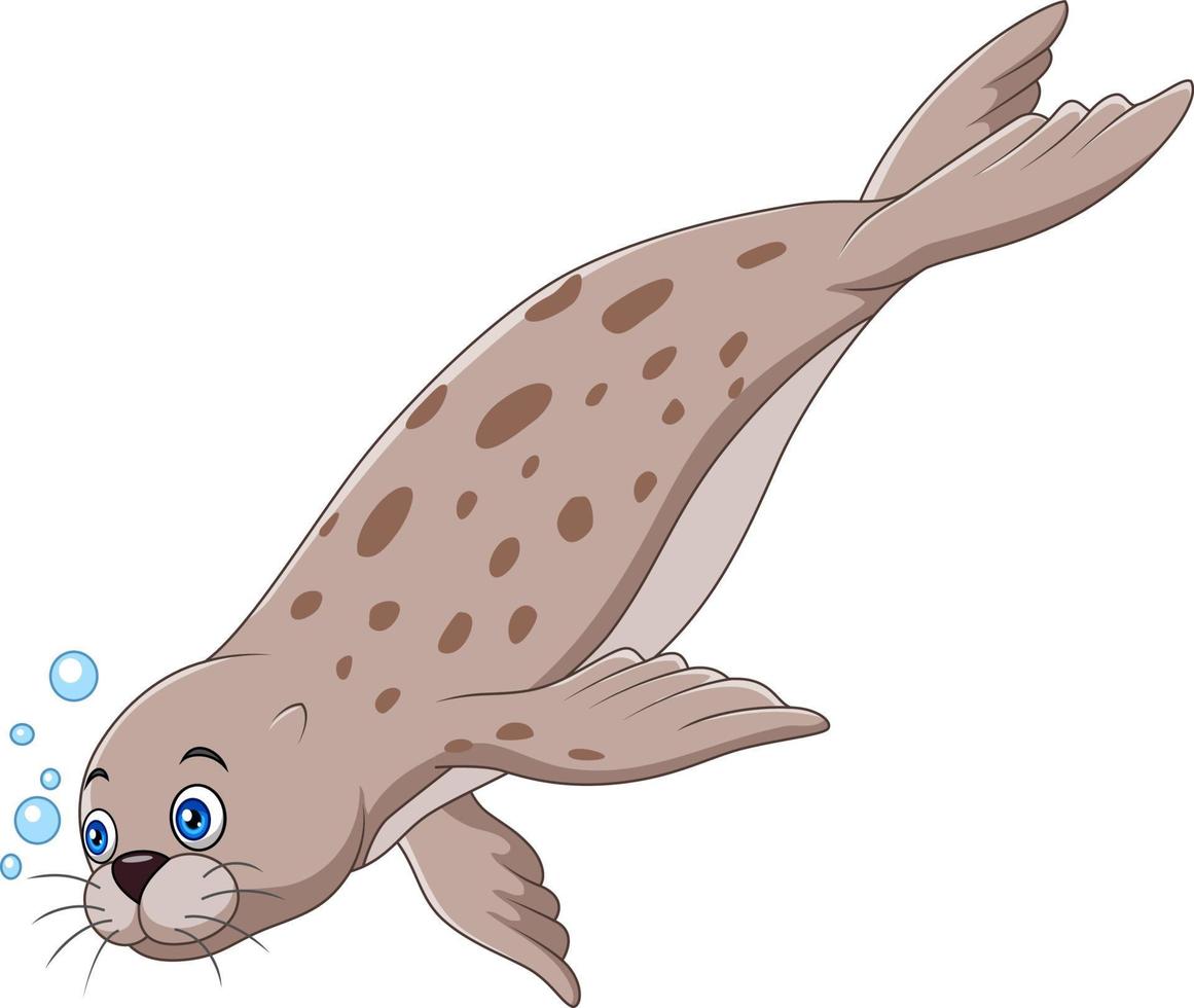 Cartoon seal swimming on white background vector