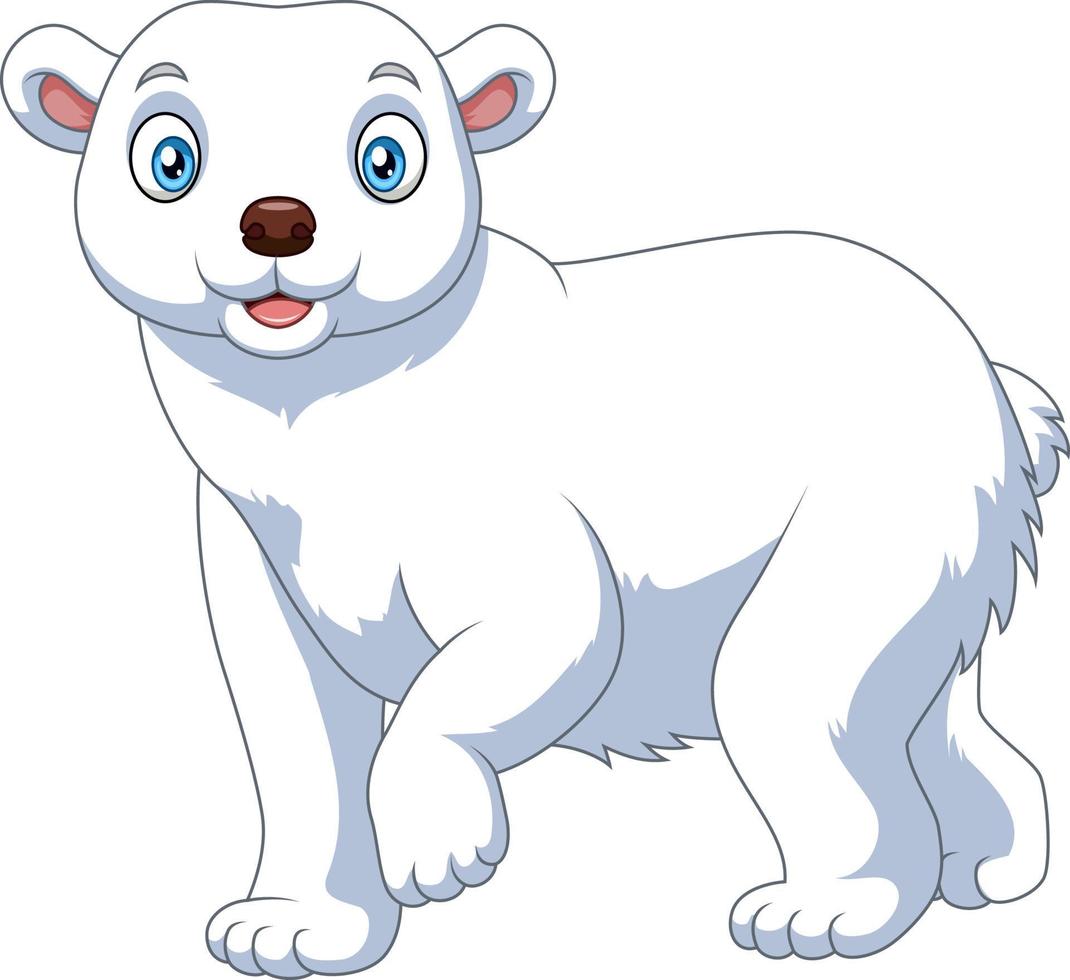 oso polar de dibujos animados aislado sobre fondo blanco vector