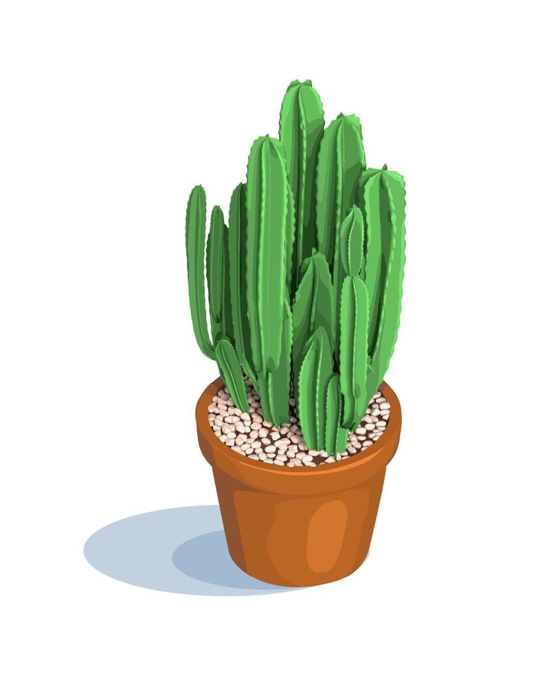 cactus verde bajo en una olla en isometría. plantas caseras decorativas aisladas en blanco. ilustración vectorial vector