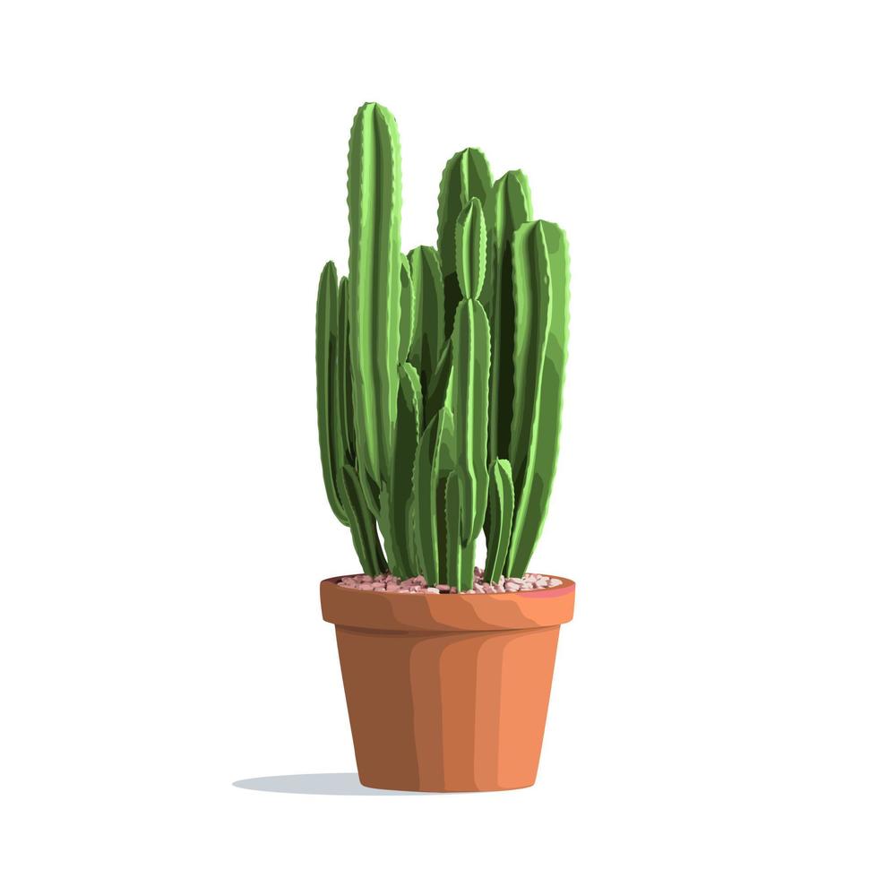 cactus no altos en una maceta en el frente. plantas caseras decorativas aisladas en blanco. ilustración vectorial vector