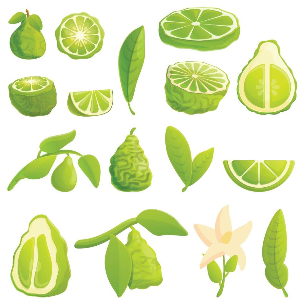 Bergamot icons set, cartoon style vector