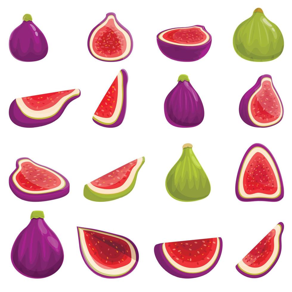 Figs icons set, cartoon style vector