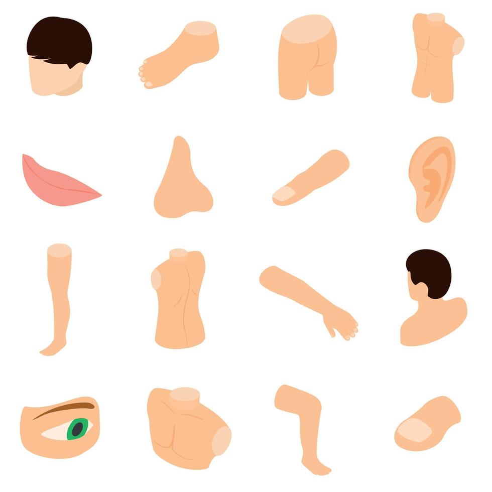 Body parts icons set, isometric 3d style vector