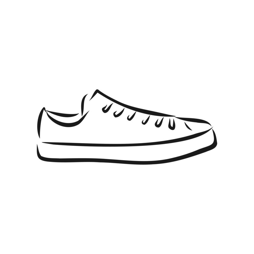dibujo vectorial de zapatos de mujer vector