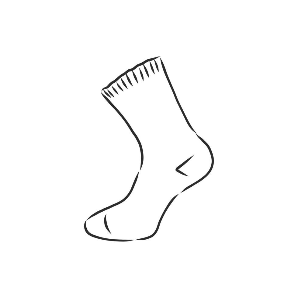 vector sketch socks