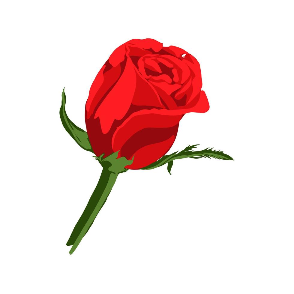 bosquejo del vector de la rosa