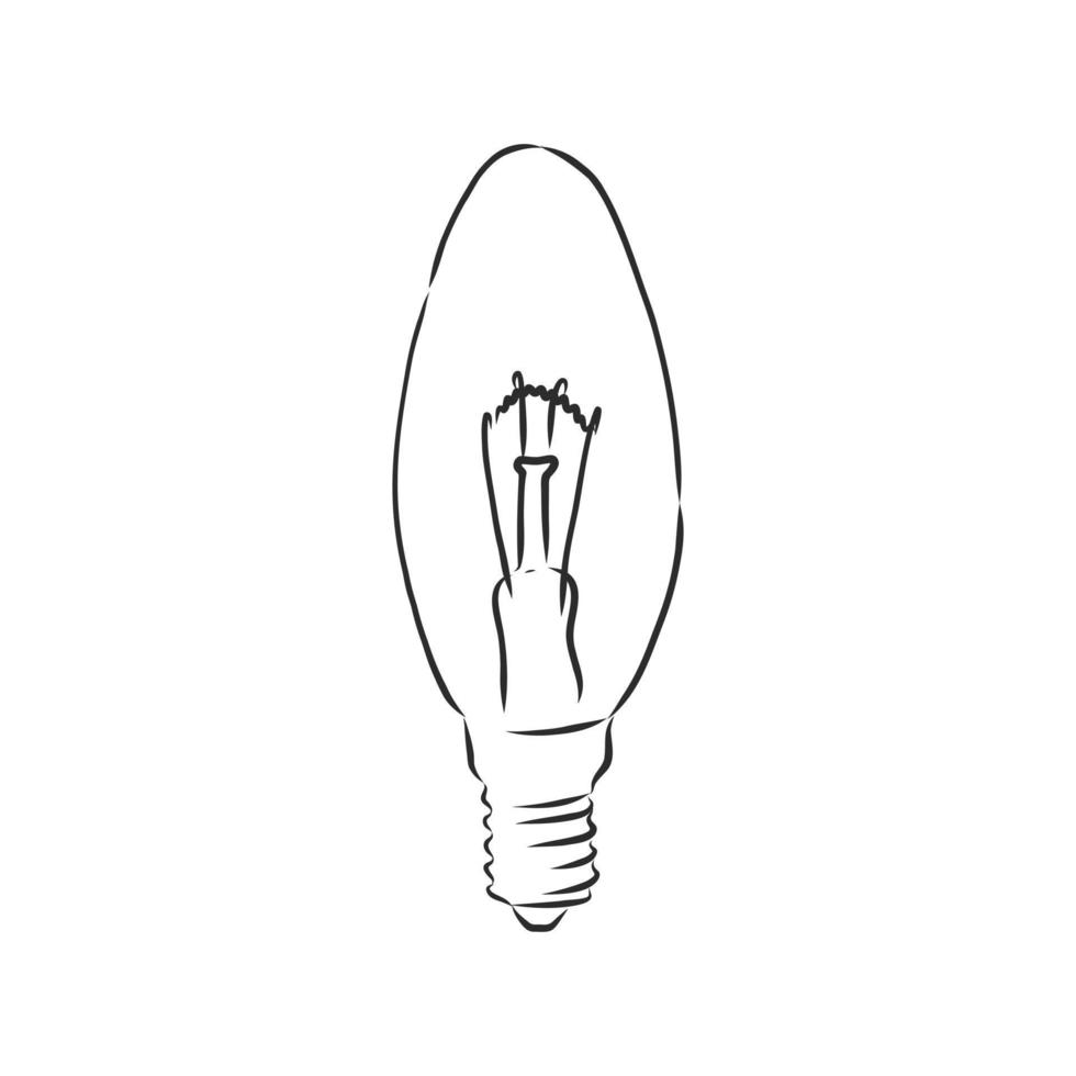 light bulb vector sketch