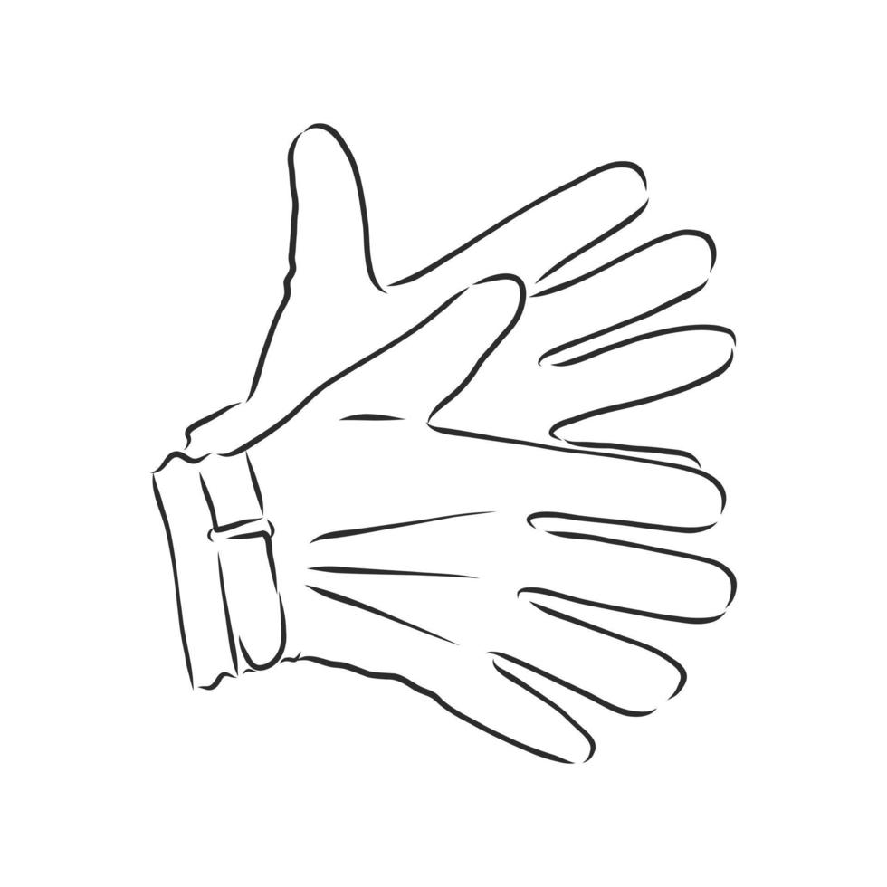 guantes, manoplas, vector, bosquejo vector