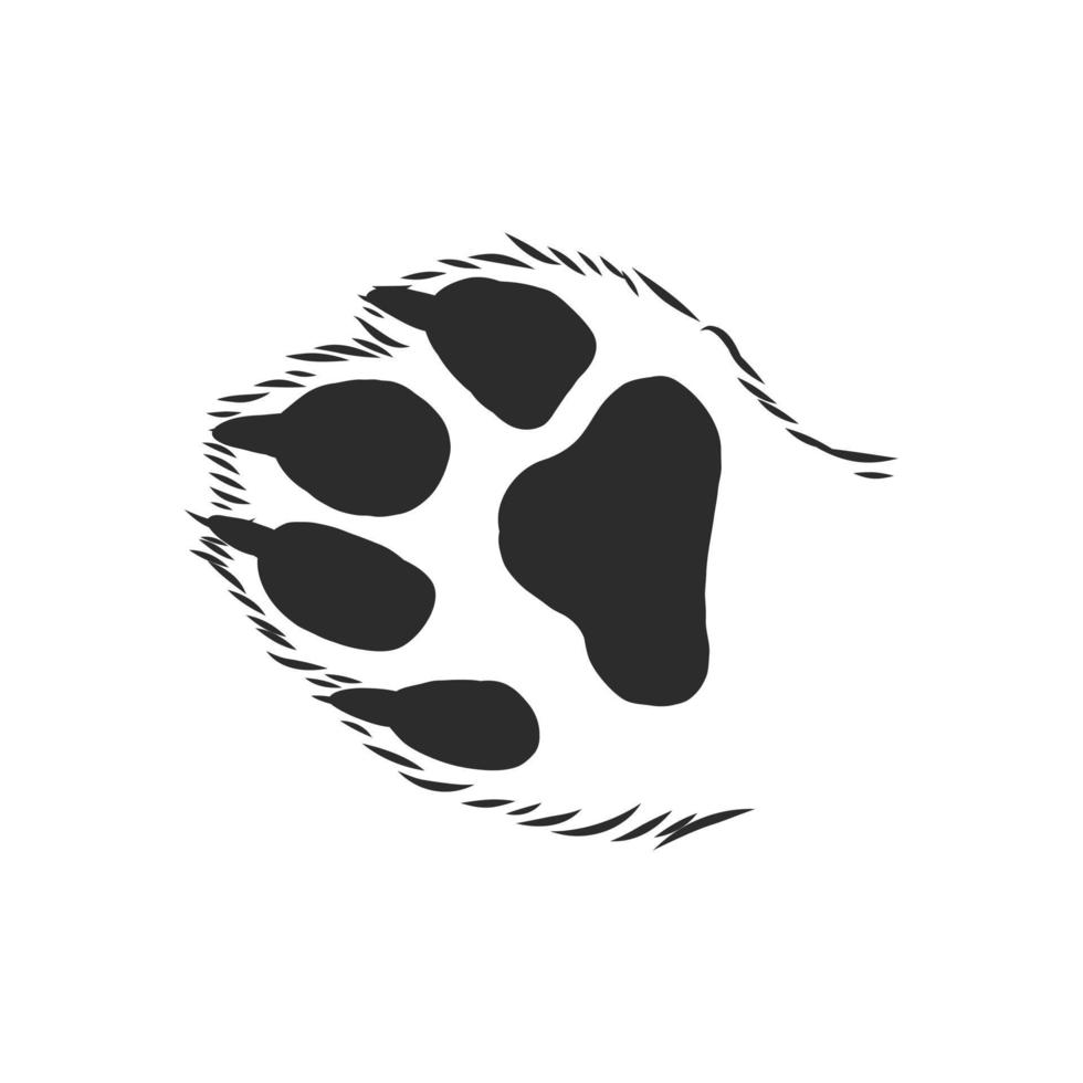 trail of a cat vector sketch