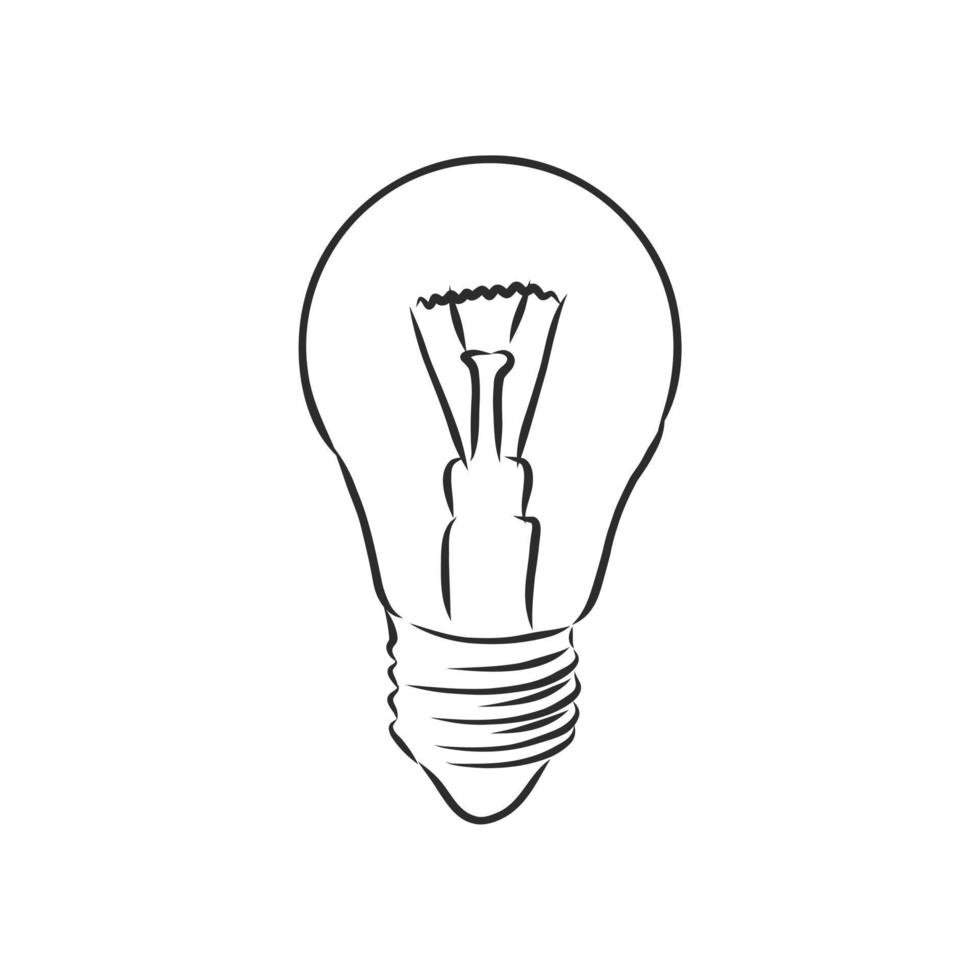 light bulb vector sketch