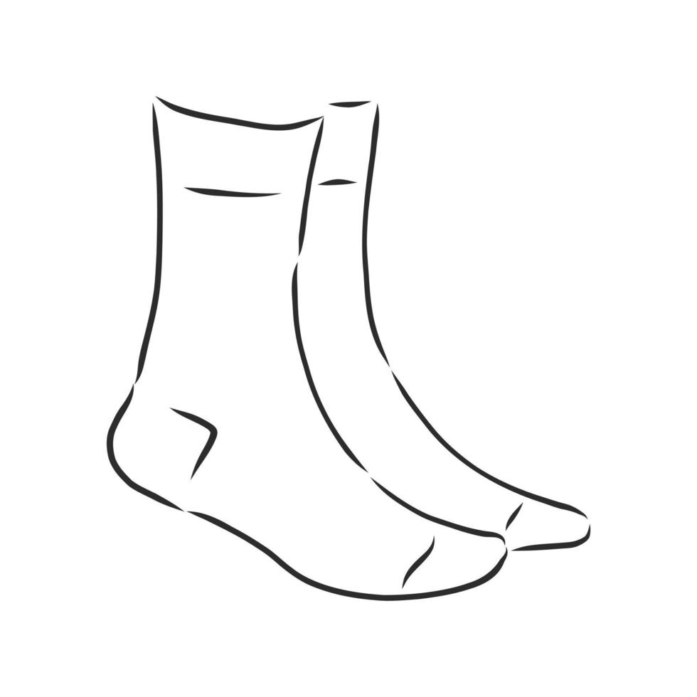 dibujo vectorial de calcetines vector