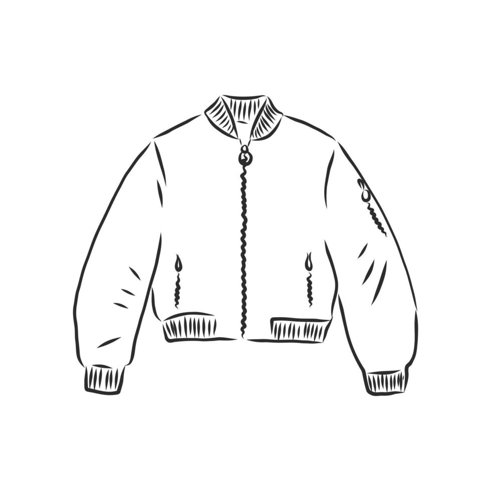 winter coat jacket vector sketch