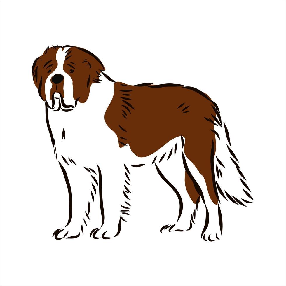 dog vector sketch