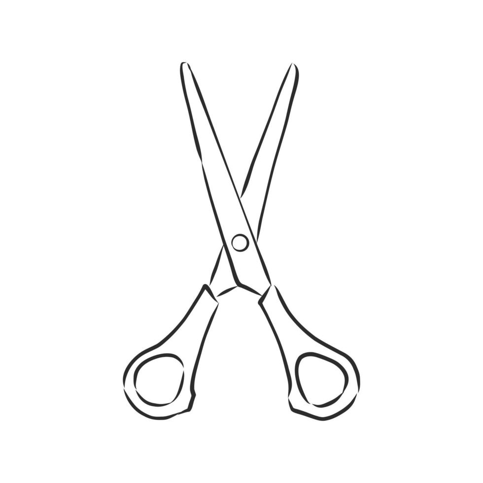 scissors vector sketch