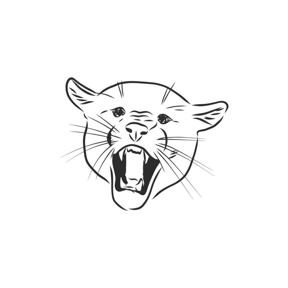 cougar vector sketch