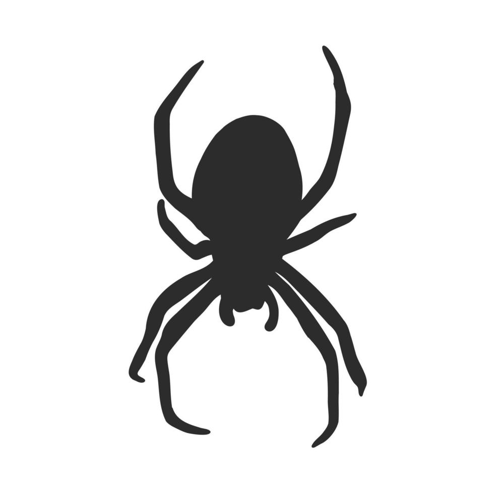 dibujo vectorial de araña vector