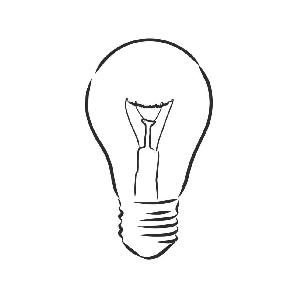 light bulb vector sketch