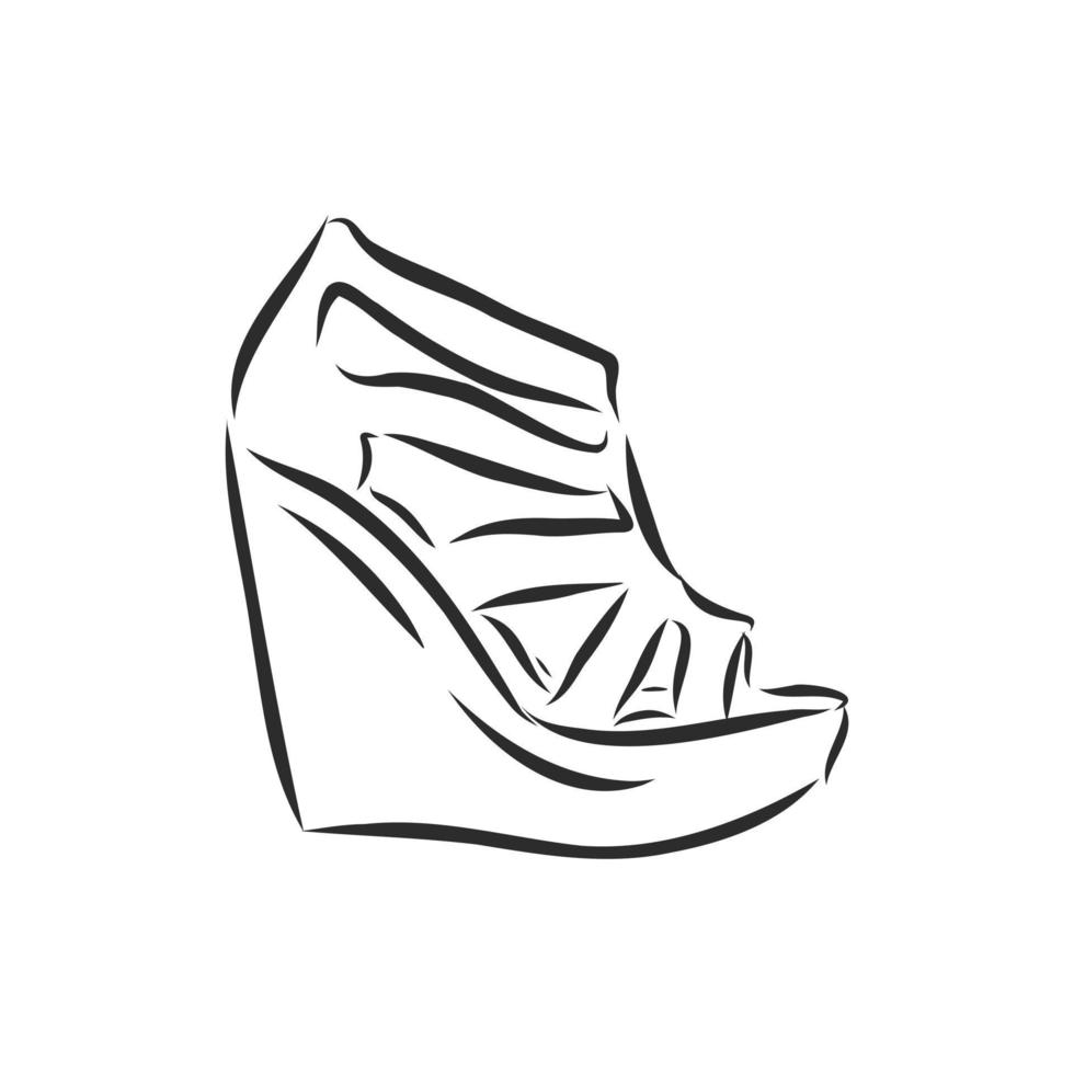 dibujo vectorial de zapatos de mujer vector