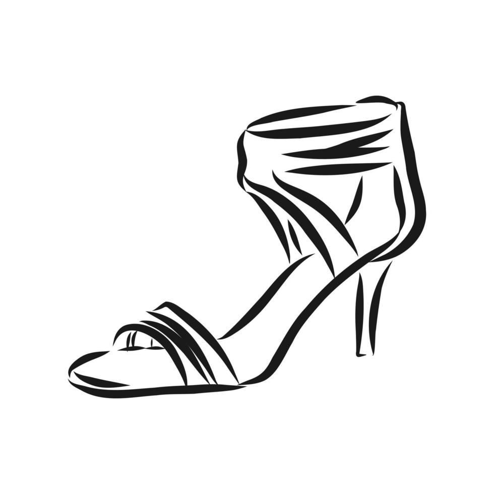 dibujo vectorial de zapatos de mujer vector