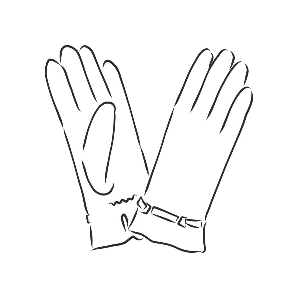 guantes, manoplas, vector, bosquejo vector