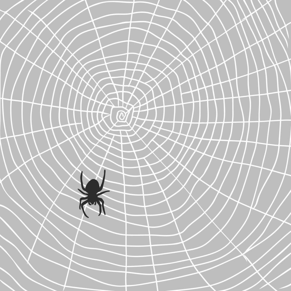 dibujo vectorial de araña vector