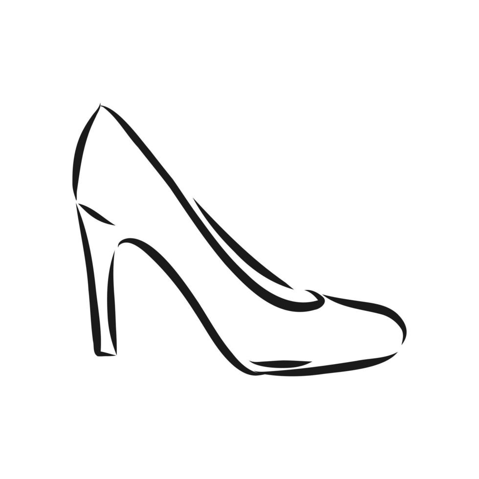 dibujo vectorial de zapatos de mujer vector