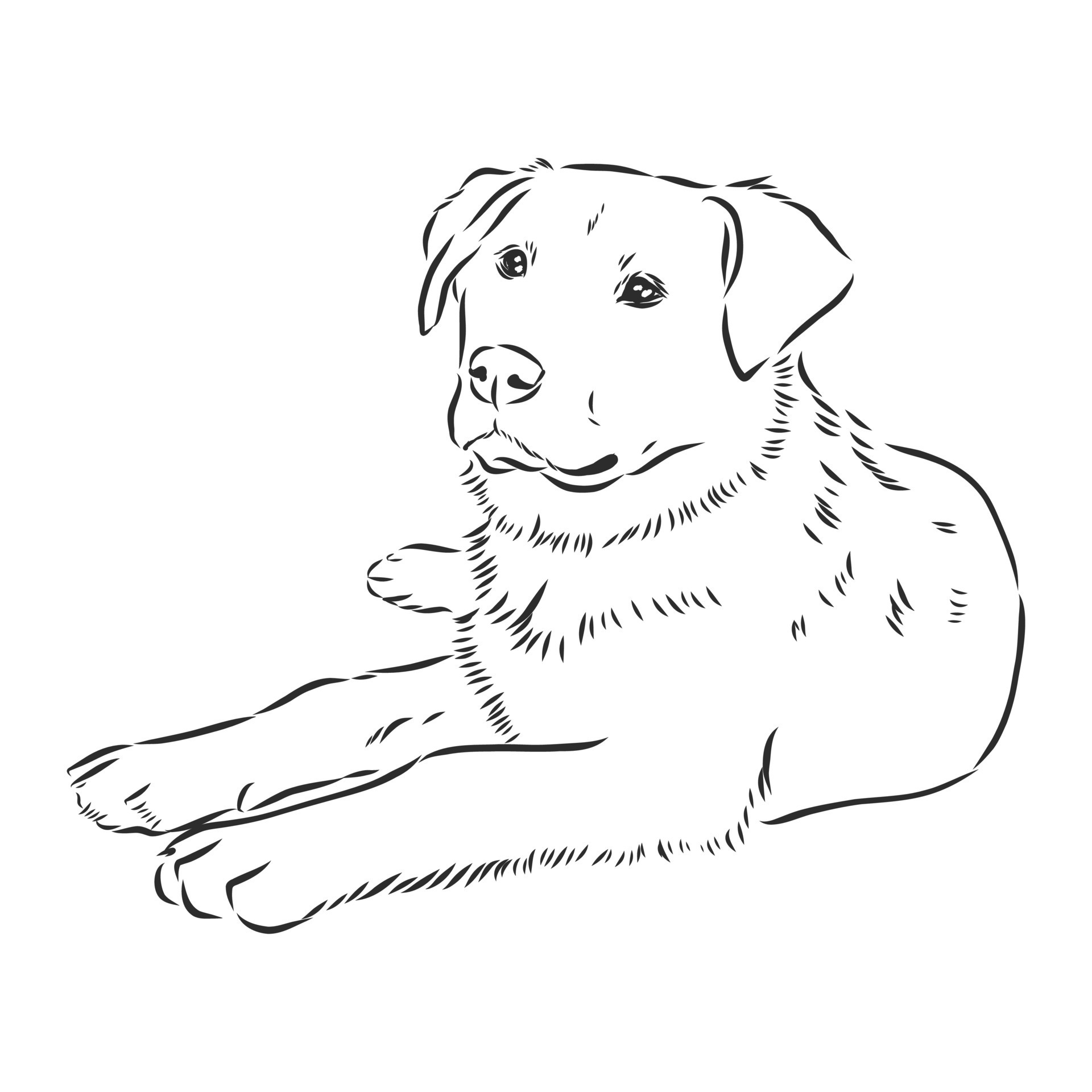 dog vector sketch 8918011 Vector Art at Vecteezy