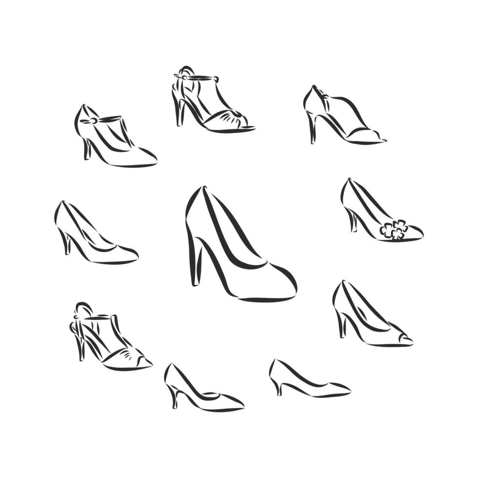 dibujo vectorial de zapatos de mujer vector