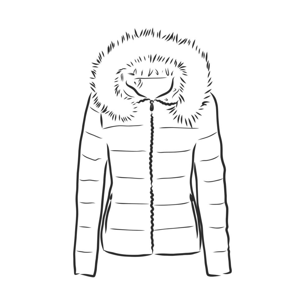 bosquejo del vector de la chaqueta del abrigo de invierno