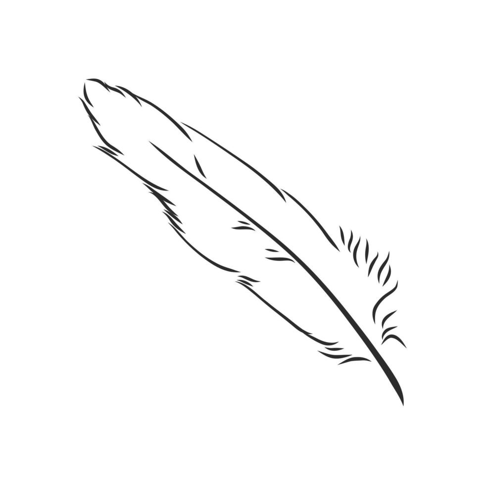 bosquejo del vector de la pluma de pájaro