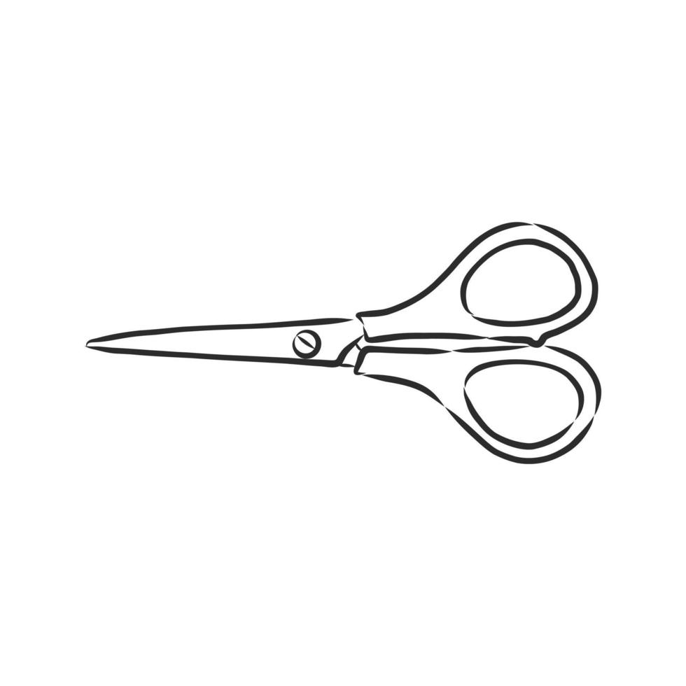 scissors vector sketch