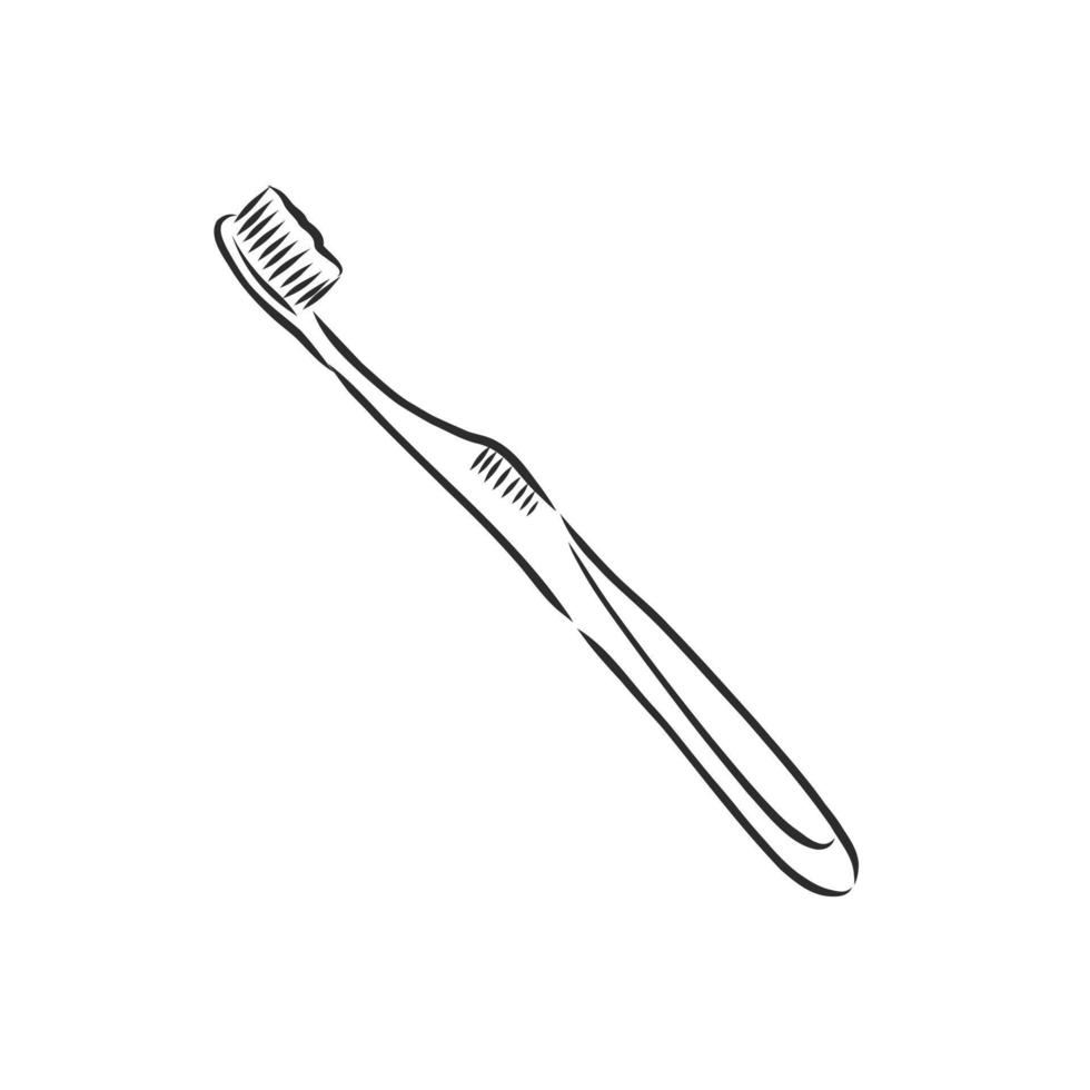 toothbrush vector sketch