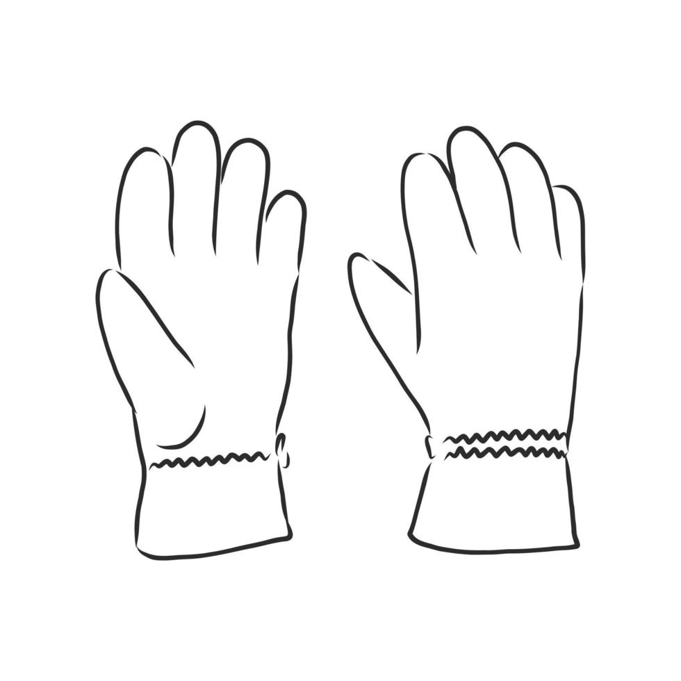 guantes, manoplas, vector, bosquejo vector