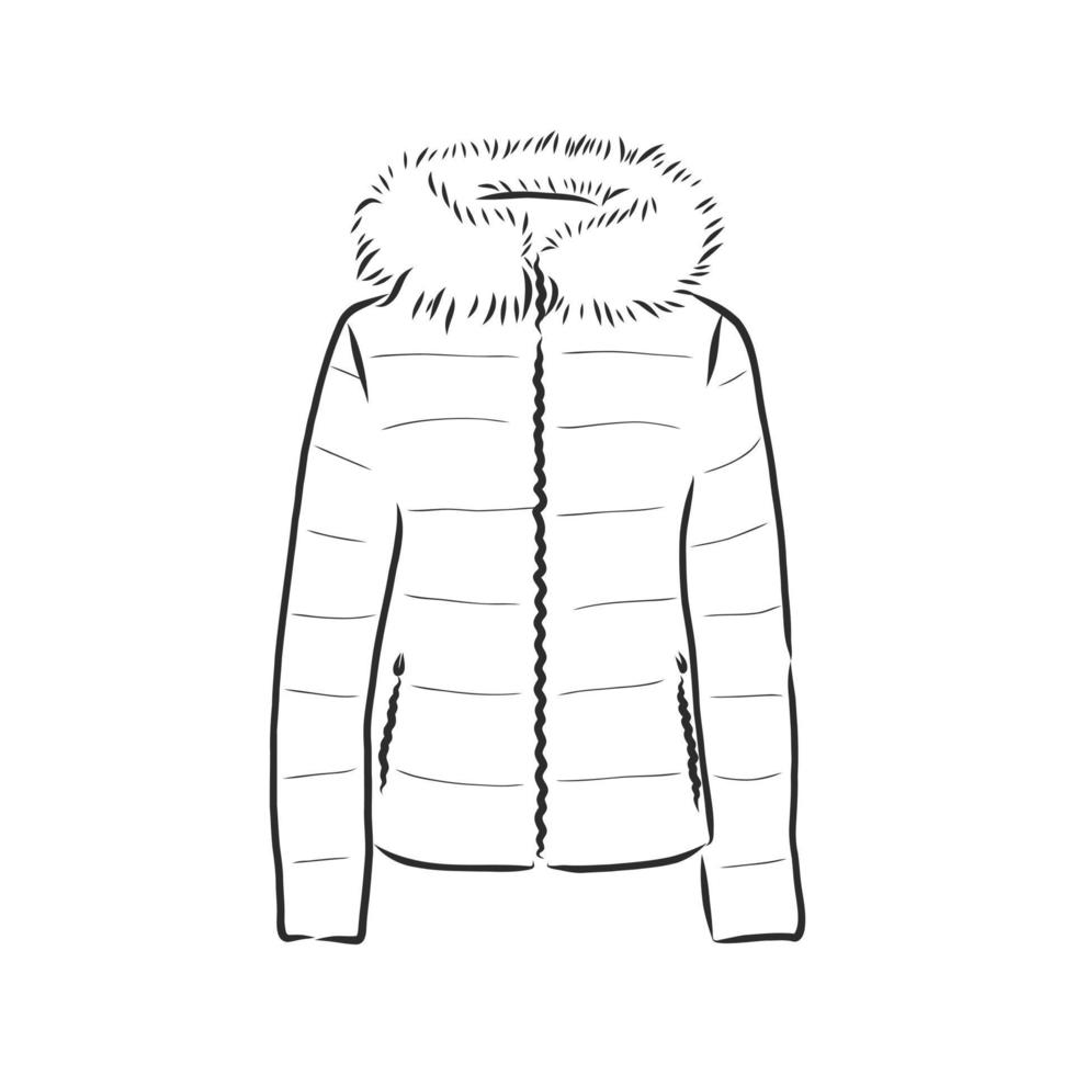 bosquejo del vector de la chaqueta del abrigo de invierno