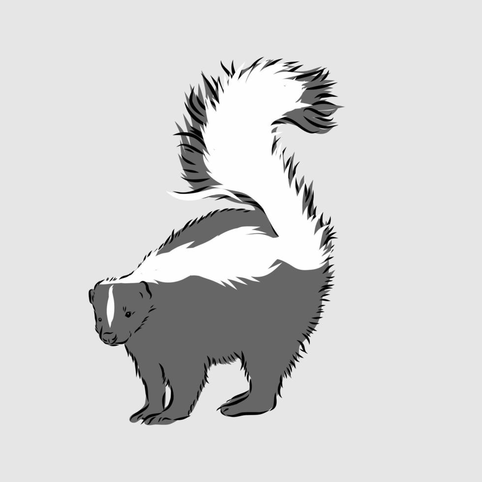 skunk vector sketch