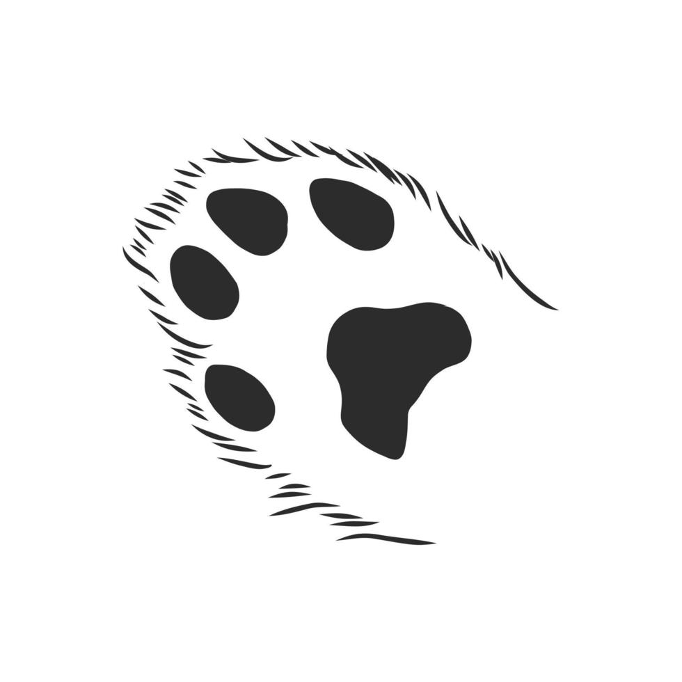 trail of a cat vector sketch