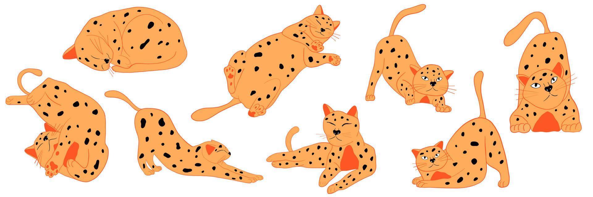 Set of cute ginger cats on white background. Pets sleeping, playing and stretching. Vector illustration for greeting card design, t-shirt print, animal shop, poster