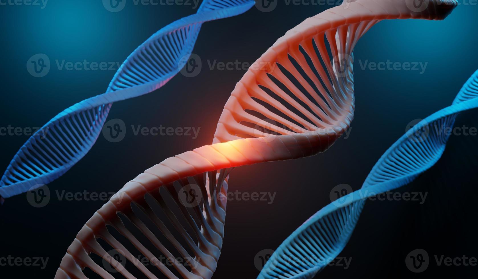 3d render Helix complementary strand of DNA of RNA. Sequences genetic code or genome. Gene expression. nucleotide database. The Central Dogma process of transcription and translation. Human gene. photo