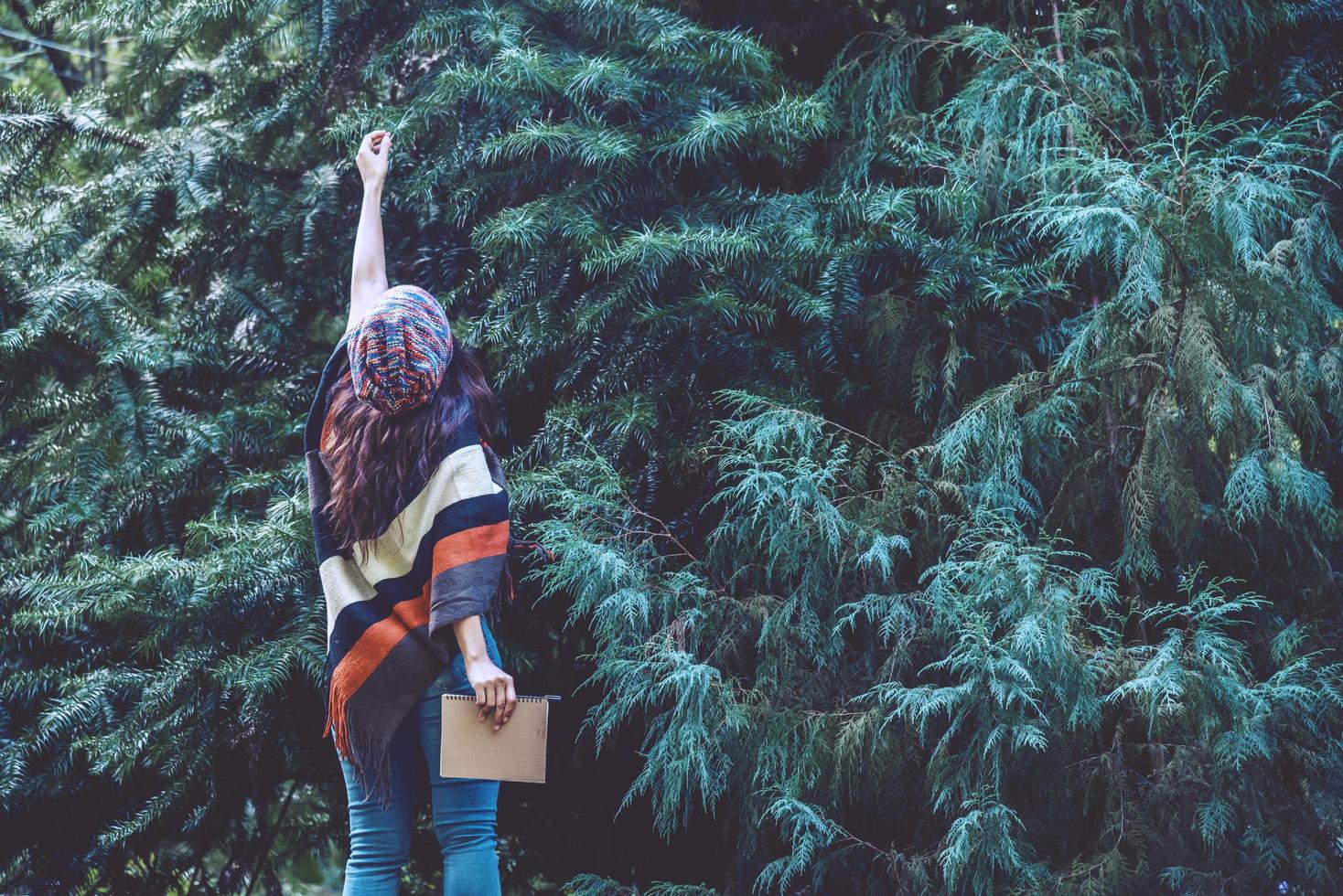 mujer joven relajarse en las vacaciones. Viaja por la naturaleza y escribe una nota feliz al ver la belleza de la hoja de pino. estudio de la naturaleza. foto