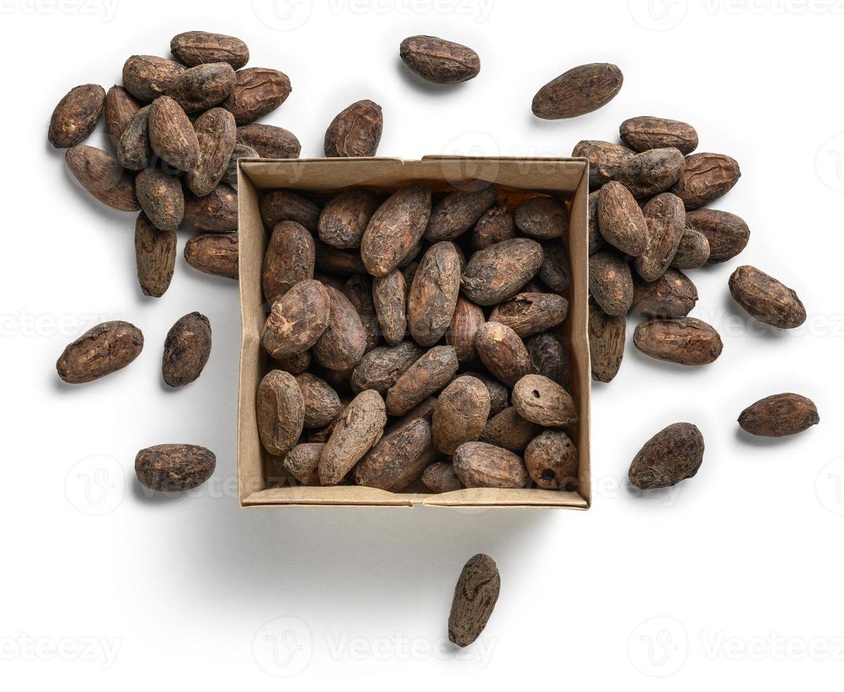 granos de cacao sobre un fondo blanco. la vista desde arriba foto