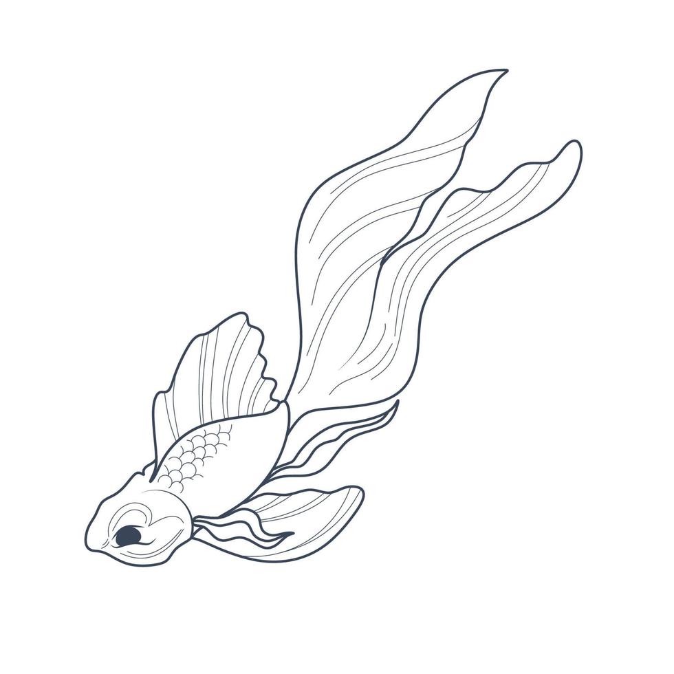 Koi fish Line art Vector. Koi Fish Line art  Graphic design for the wall decoration vector