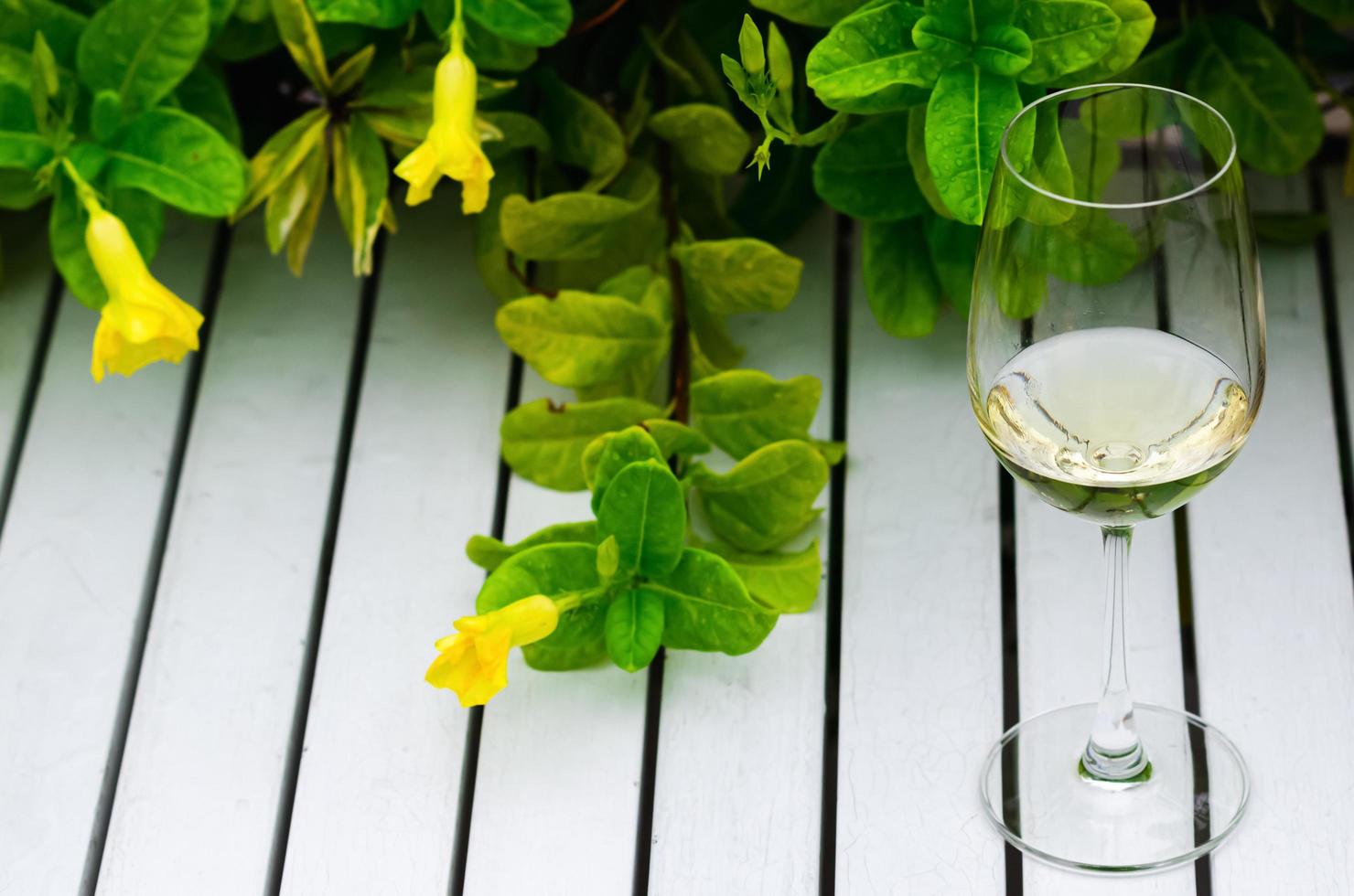 una copa de vino blanco sobre una mesa blanca con hojas verdes. foto